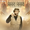 Aari Aari (Remix) - DJ Kamra