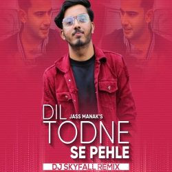 Dil Todne Se Pehle - DJ Skyfall Remix Mp3 Song